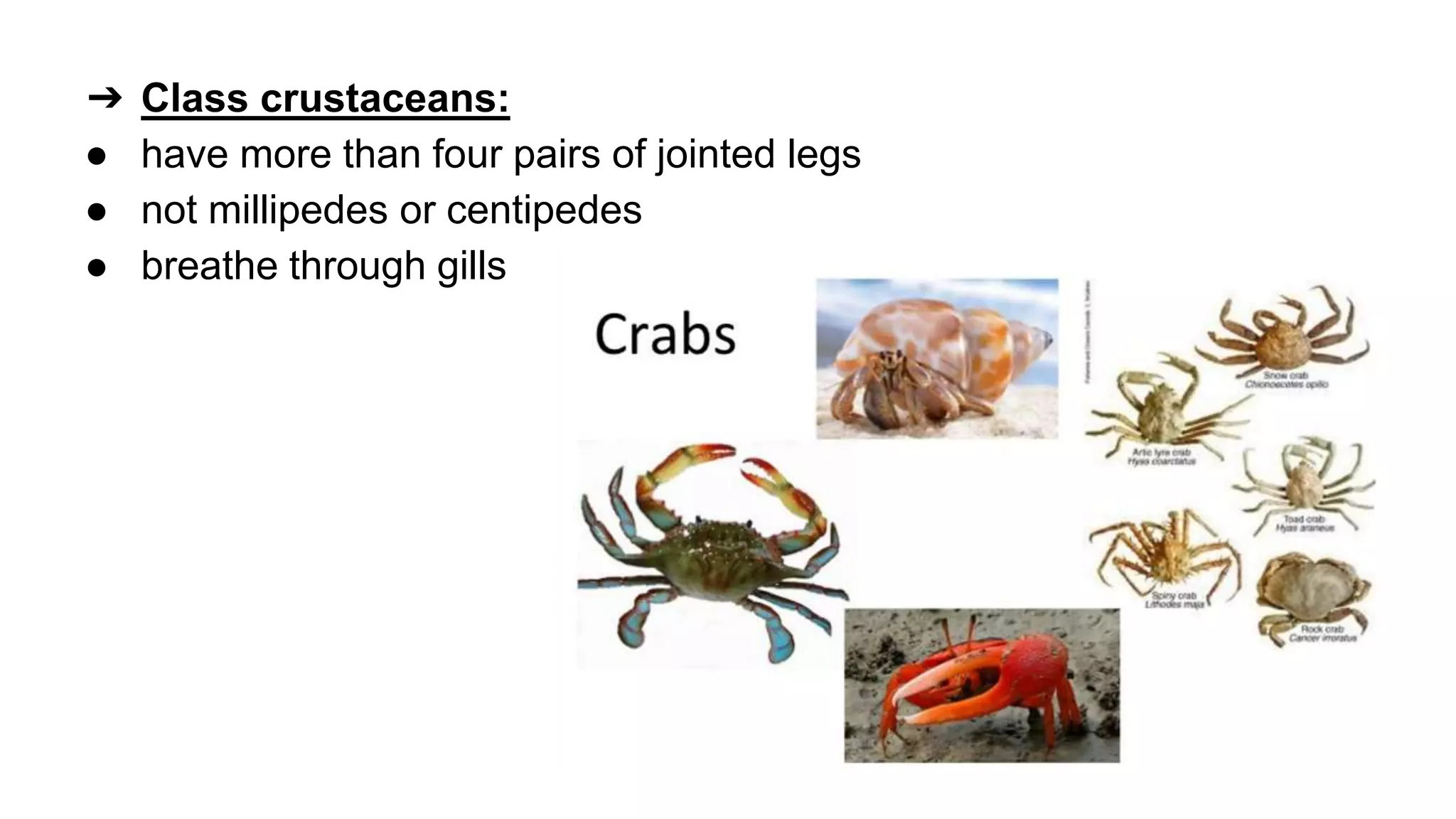 classification grade 9 chapter 3