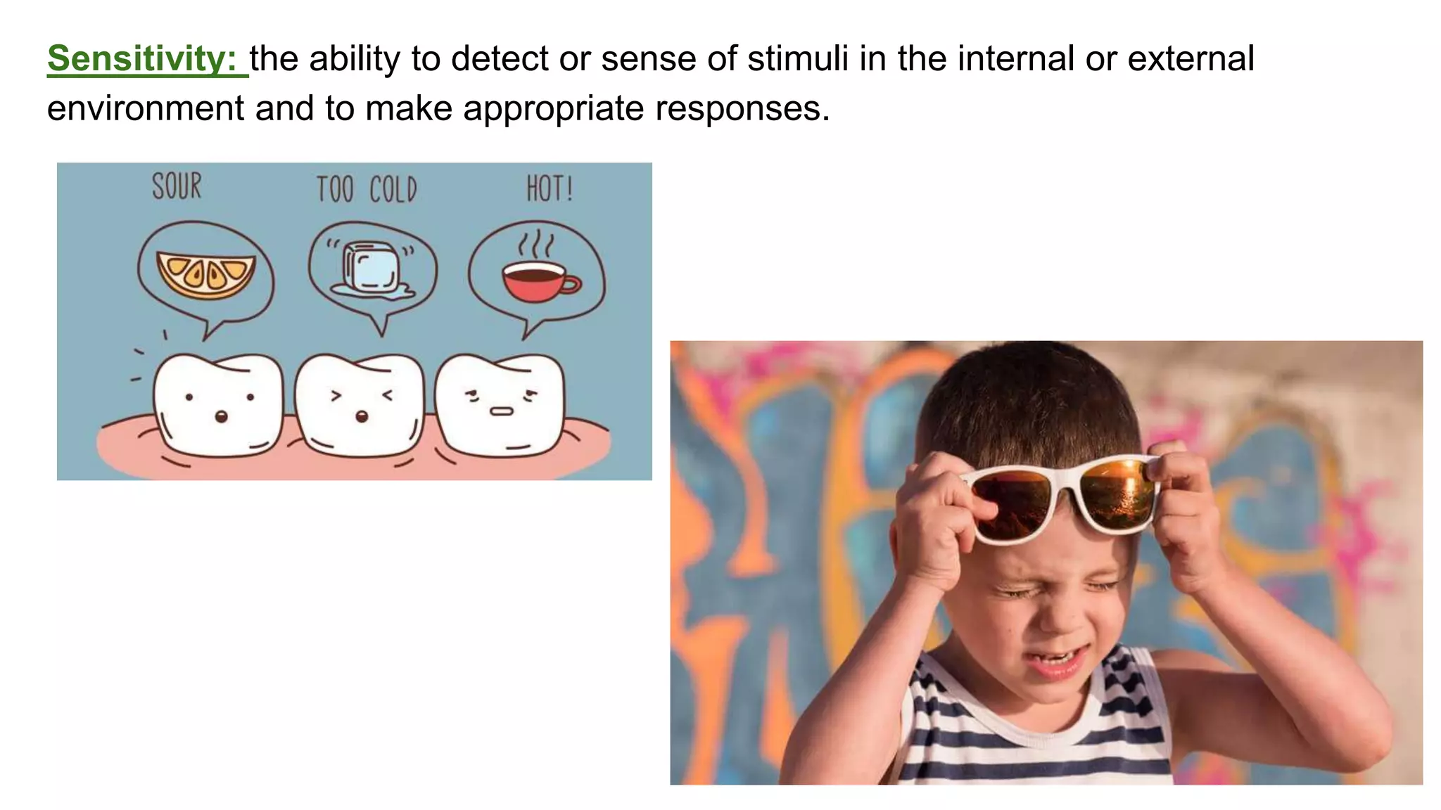 classification grade 9 chapter 3