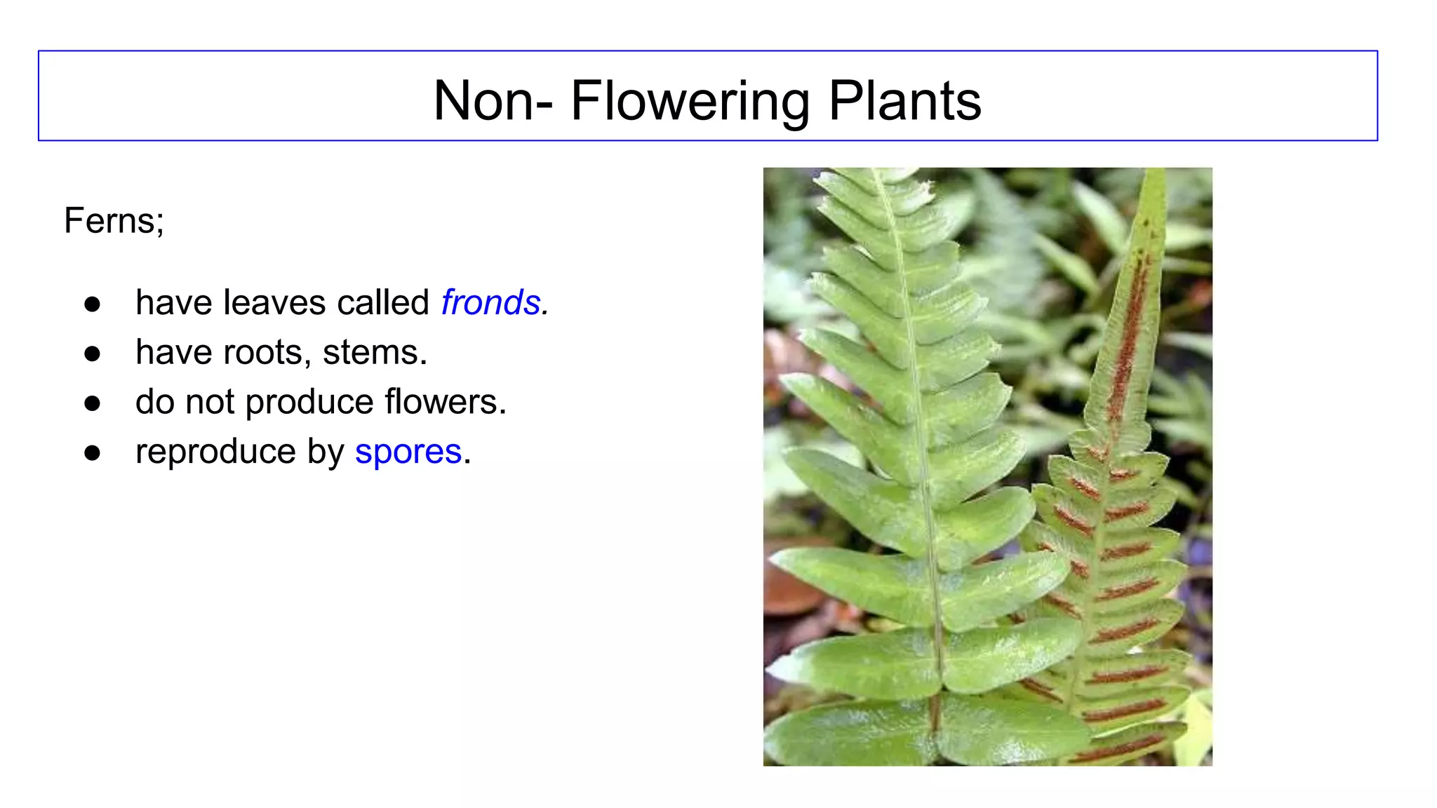 classification grade 9 chapter 3