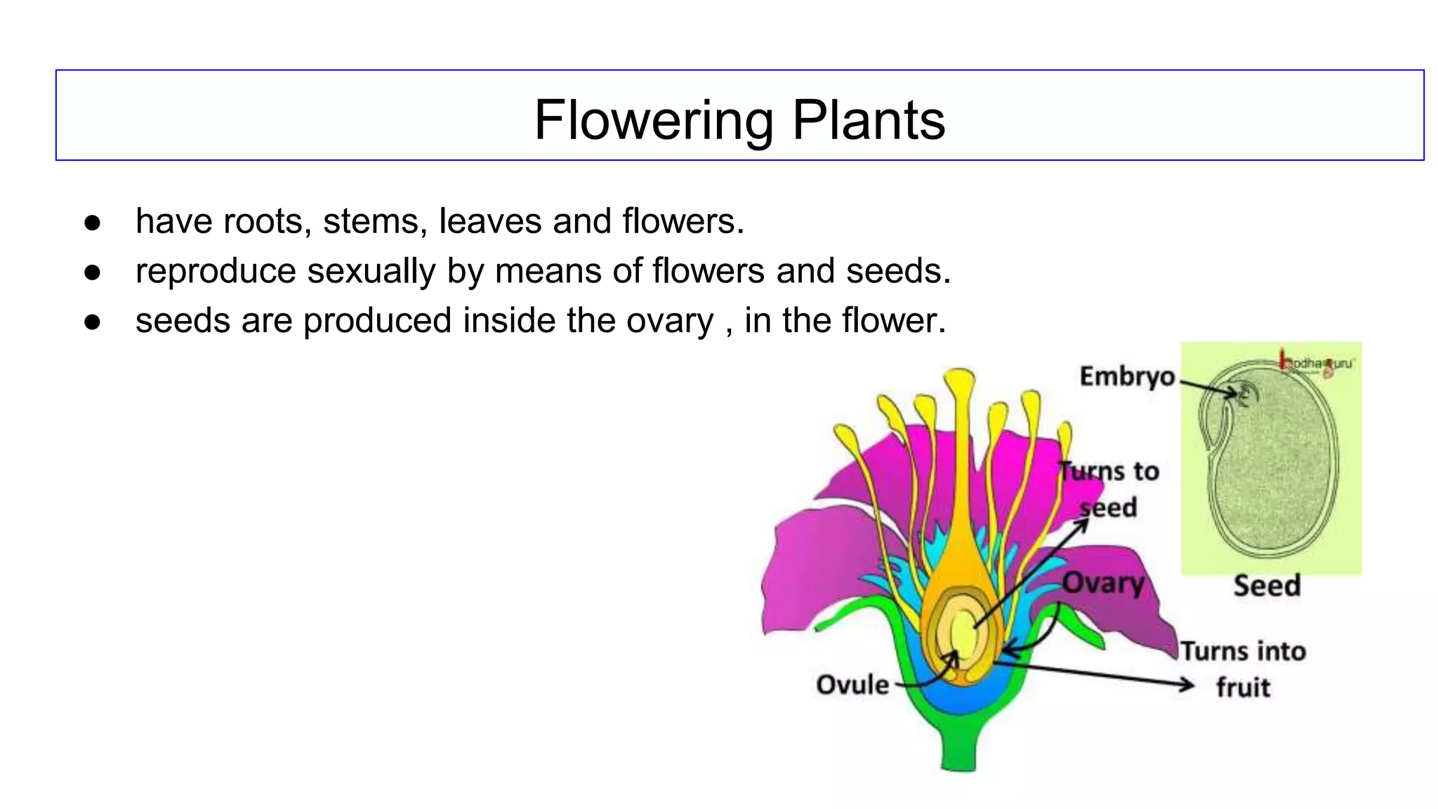 classification grade 9 chapter 3