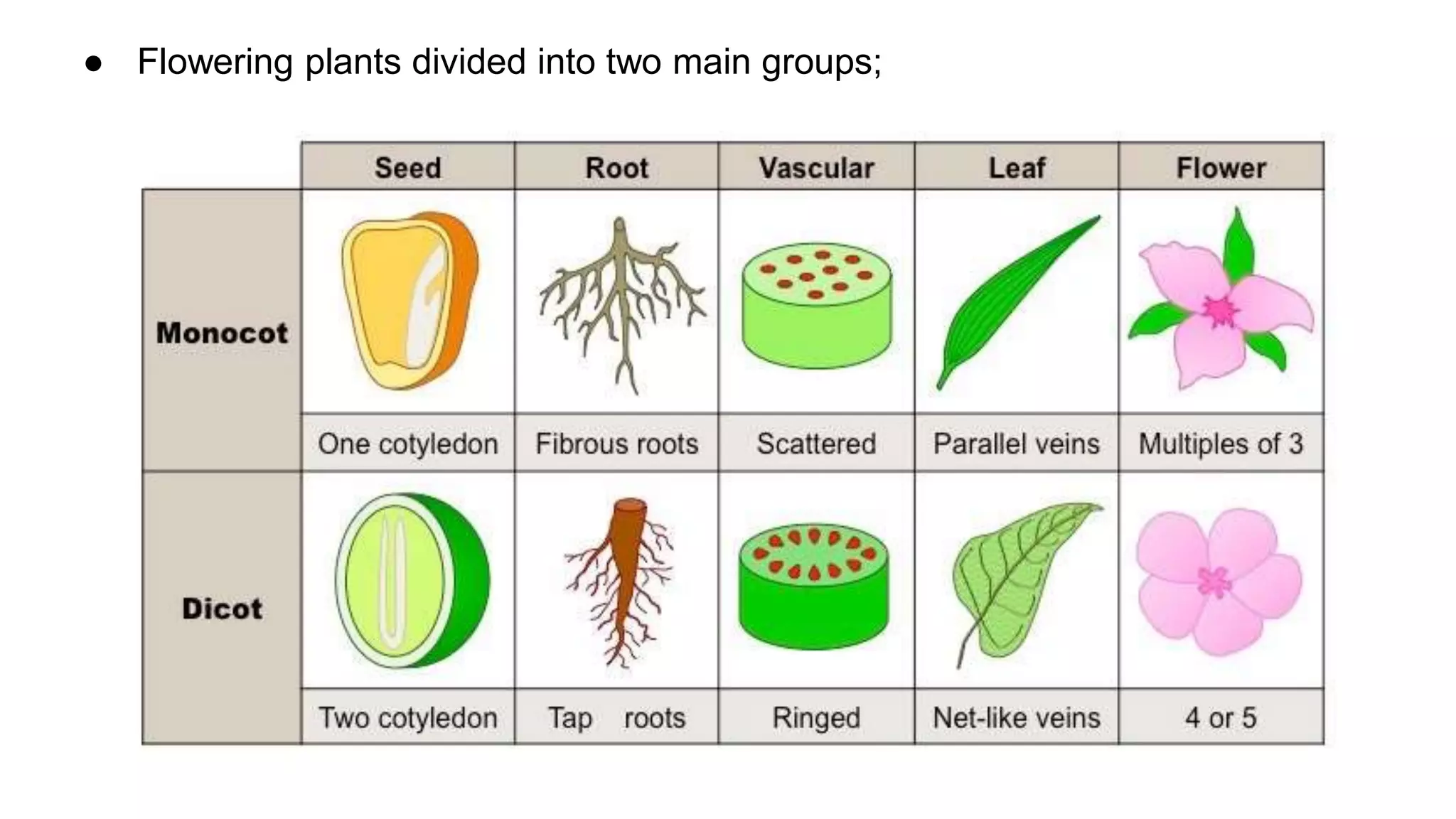 classification grade 9 chapter 3