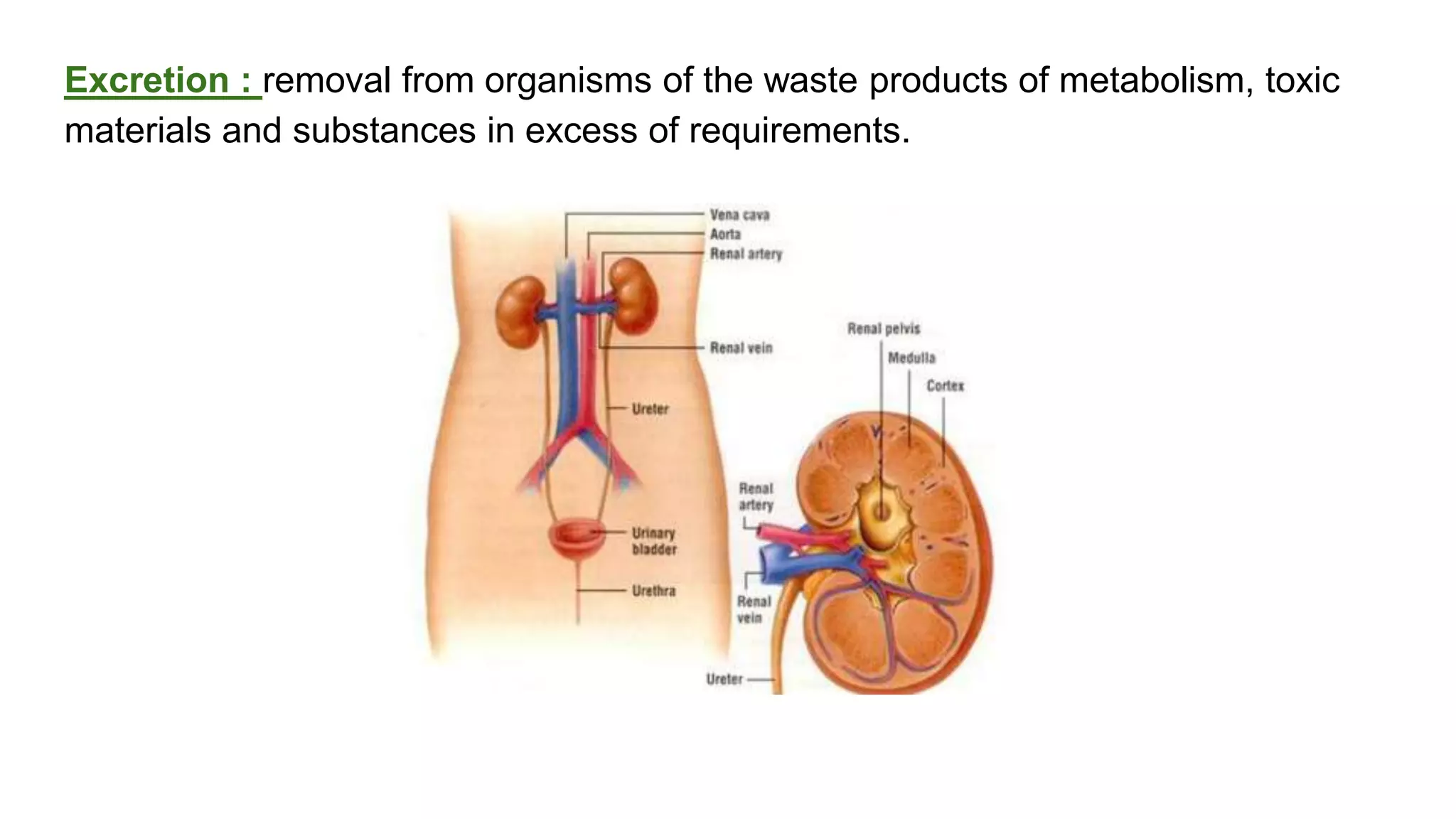 classification grade 9 chapter 3