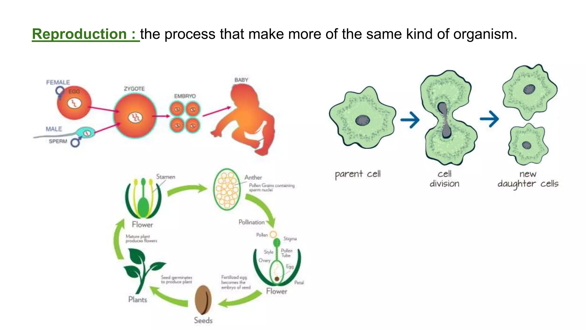 classification grade 9 chapter 3