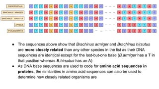 classification grade 9 chapter 3