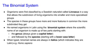classification grade 9 chapter 3