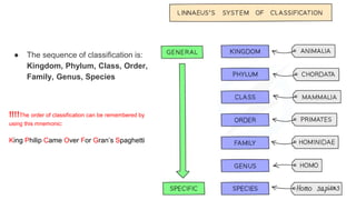 classification grade 9 chapter 3
