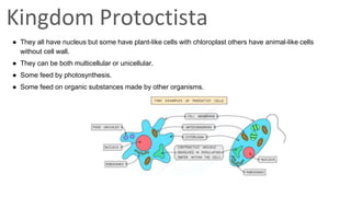 classification grade 9 chapter 3