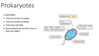 classification grade 9 chapter 3