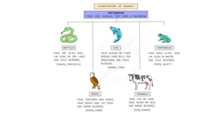 classification grade 9 chapter 3