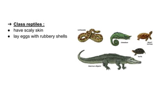 classification grade 9 chapter 3