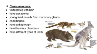 classification grade 9 chapter 3