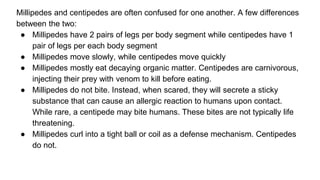classification grade 9 chapter 3