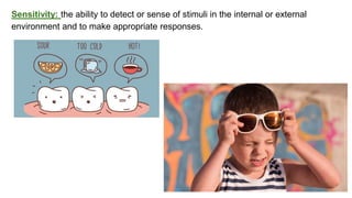 classification grade 9 chapter 3