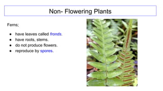 classification grade 9 chapter 3