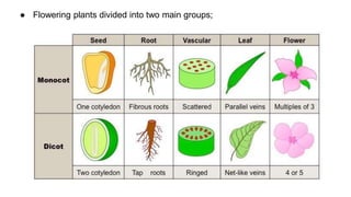 classification grade 9 chapter 3