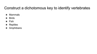 classification grade 9 chapter 3