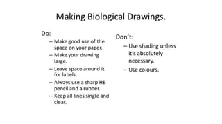 classification grade 9 chapter 3