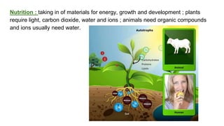 classification grade 9 chapter 3