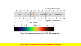 Figure: Electromagnetic spectrum with visible light highlighted.
Source: https://en.wikipedia.org/wiki/Electromagnetic_radiation
 