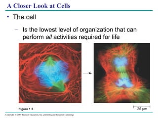 Chapter 1 exploring life.Campbell | PPT