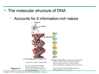 Exploring Life - Biology Chapter Education | PPT