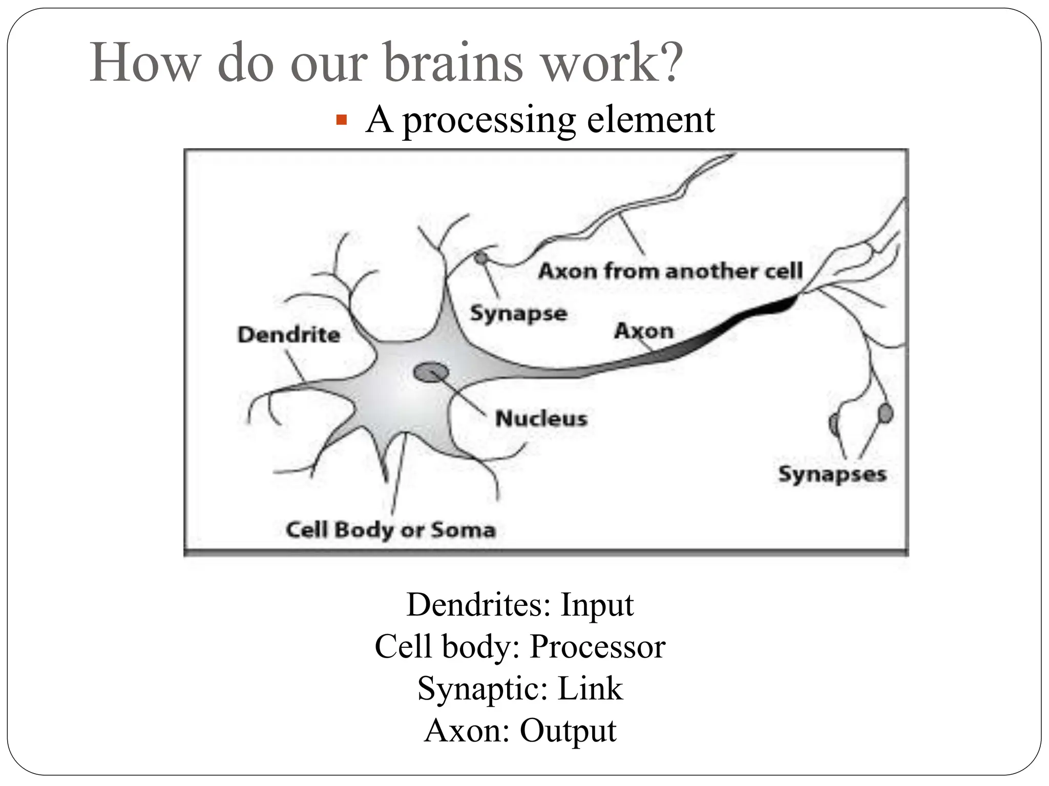 How do our brains work?
 A processing element
Dendrites: Input
Cell body: Processor
Synaptic: Link
Axon: Output
 