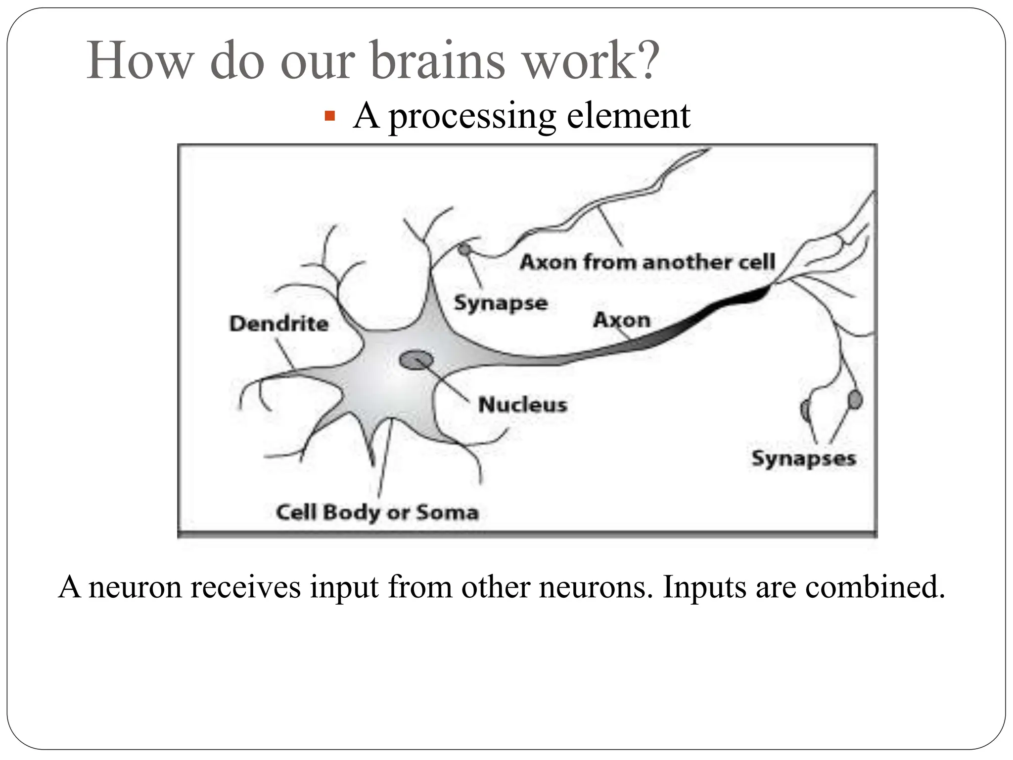 How do our brains work?
 A processing element
A neuron receives input from other neurons. Inputs are combined.
 