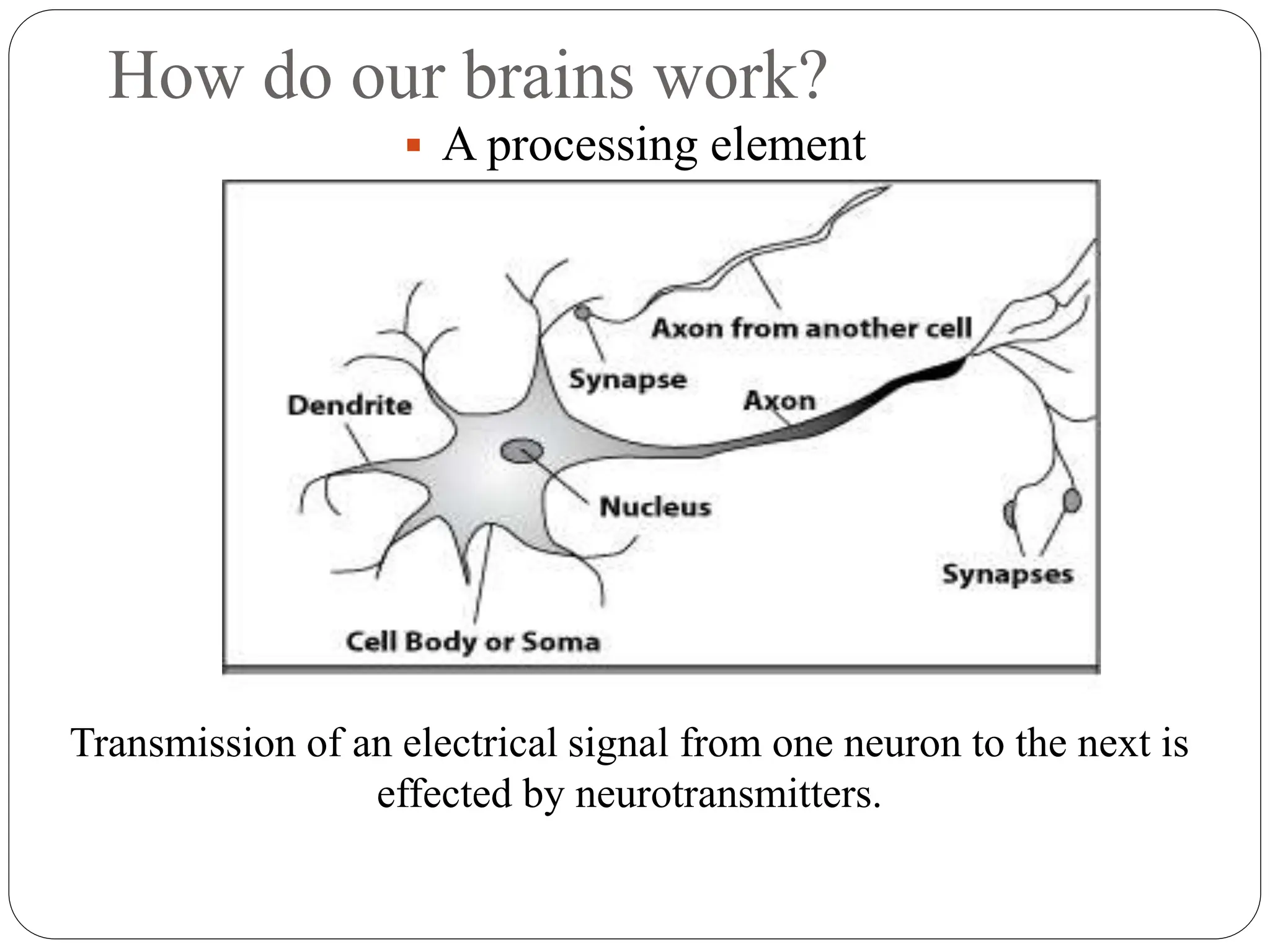 How do our brains work?
 A processing element
Transmission of an electrical signal from one neuron to the next is
effected by neurotransmitters.
 