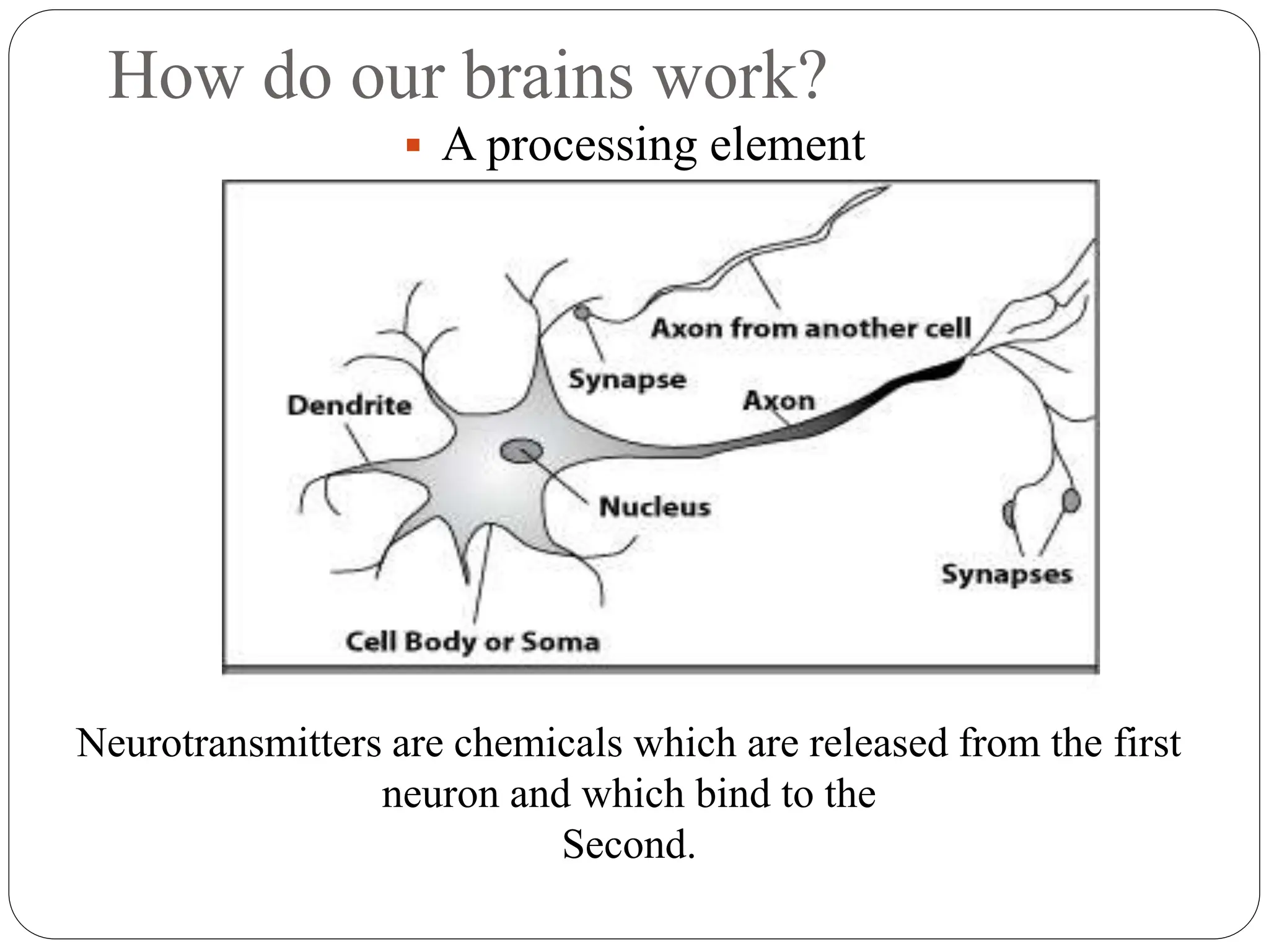 How do our brains work?
 A processing element
Neurotransmitters are chemicals which are released from the first
neuron and which bind to the
Second.
 