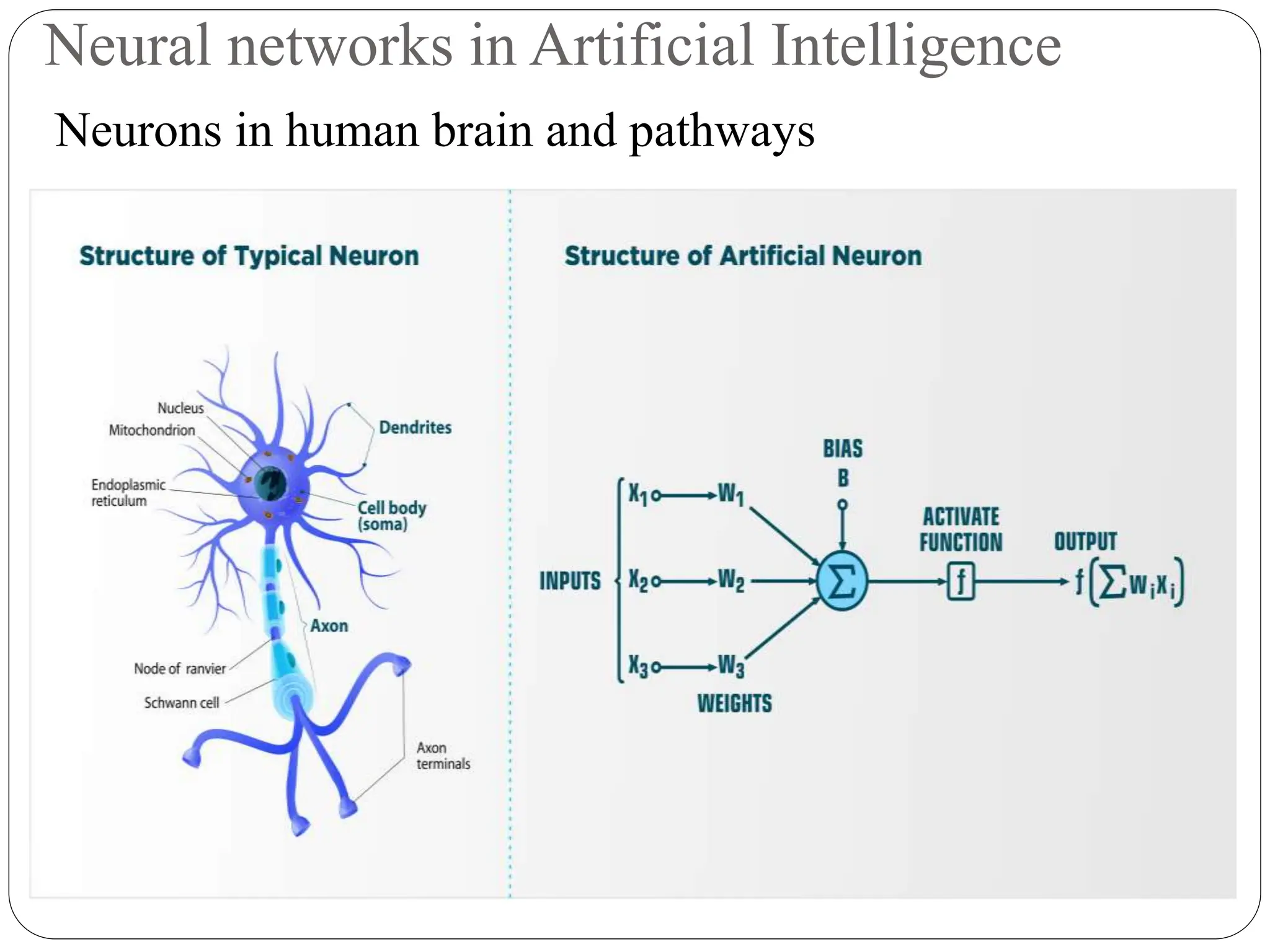 Neural networks in Artificial Intelligence
Neurons in human brain and pathways
 