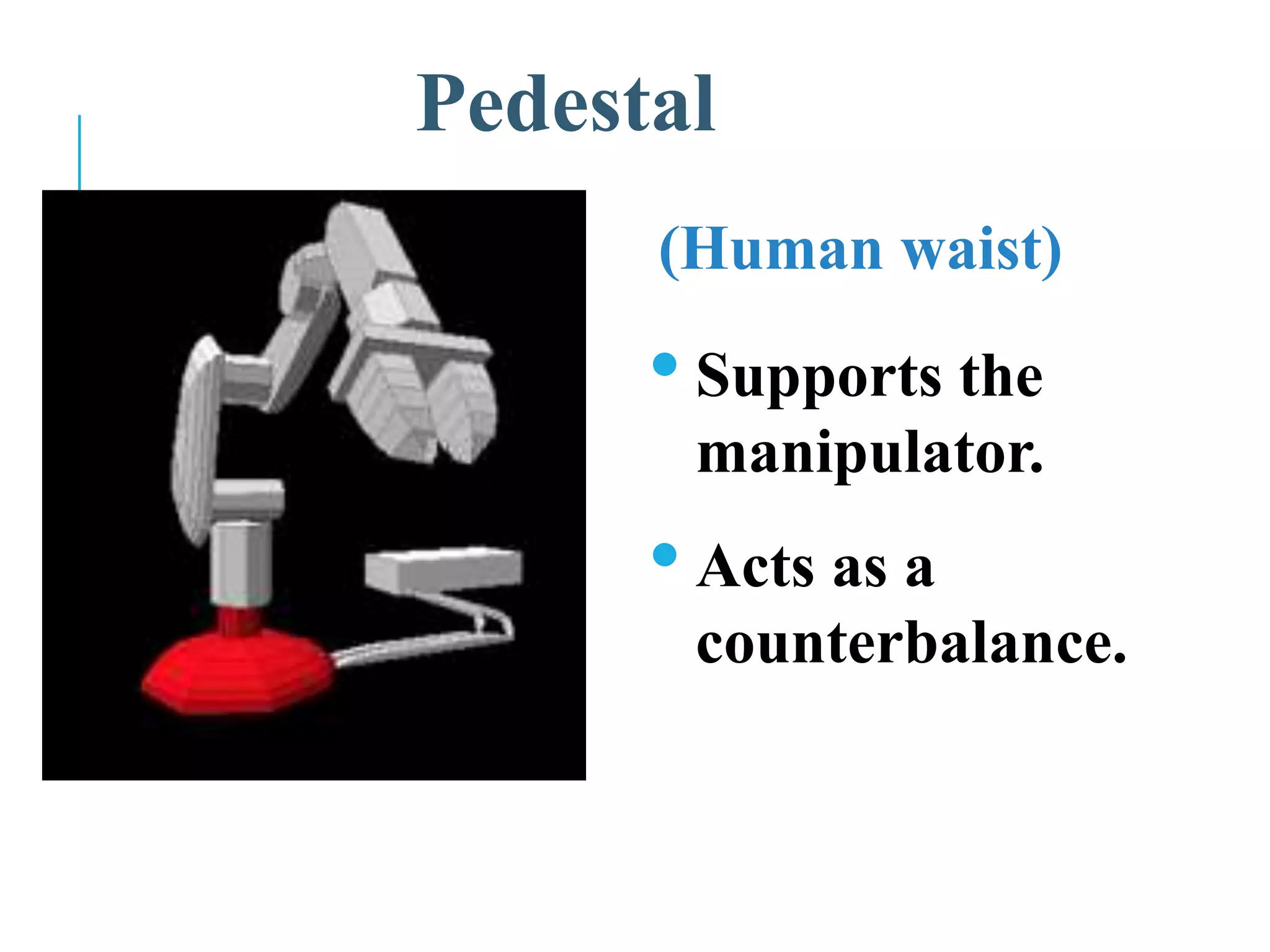 Pedestal
(Human waist)
•Supports the
manipulator.
•Acts as a
counterbalance.
 