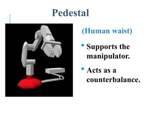 Pedestal
(Human waist)
•Supports the
manipulator.
•Acts as a
counterbalance.
 