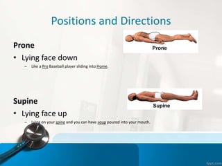 Positions and Directions
Prone
• Lying face down
– Like a Pro Baseball player sliding into Home.
Supine
• Lying face up
– Lying on your spine and you can have soup poured into your mouth.
 