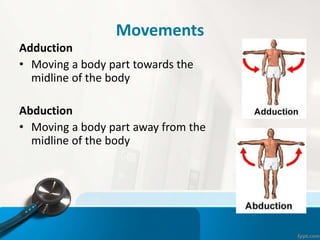 Movements
Adduction
• Moving a body part towards the
midline of the body
Abduction
• Moving a body part away from the
midline of the body
 