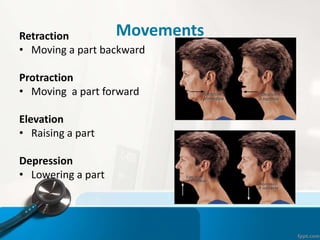 MovementsRetraction
• Moving a part backward
Protraction
• Moving a part forward
Elevation
• Raising a part
Depression
• Lowering a part
 