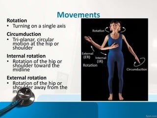 Movements
Rotation
• Turning on a single axis
Circumduction
• Tri-planar, circular
motion at the hip or
shoulder
Internal rotation
• Rotation of the hip or
shoulder toward the
midline
External rotation
• Rotation of the hip or
shoulder away from the
midline
 