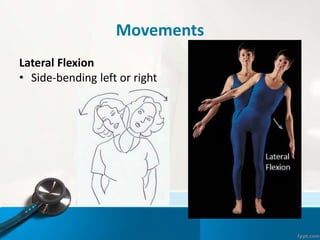Movements
Lateral Flexion
• Side-bending left or right
 