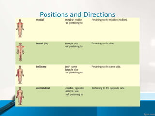 Positions and Directions
 