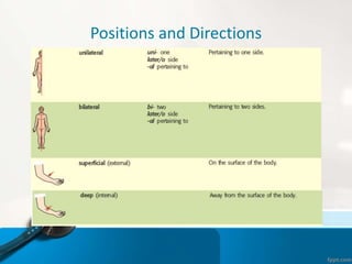 Positions and Directions
 