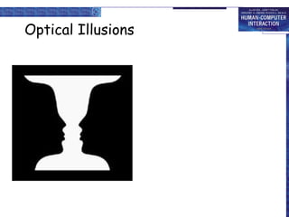 Optical Illusions 
 