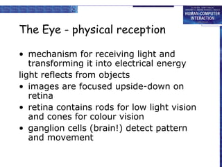 The Eye - physical reception 
• mechanism for receiving light and 
transforming it into electrical energy 
light reflects from objects 
• images are focused upside-down on 
retina 
• retina contains rods for low light vision 
and cones for colour vision 
• ganglion cells (brain!) detect pattern 
and movement 
 