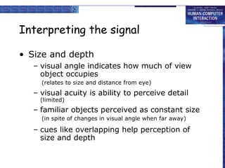Interpreting the signal 
• Size and depth 
– visual angle indicates how much of view 
object occupies 
(relates to size and distance from eye) 
– visual acuity is ability to perceive detail 
(limited) 
– familiar objects perceived as constant size 
(in spite of changes in visual angle when far away) 
– cues like overlapping help perception of 
size and depth 
 