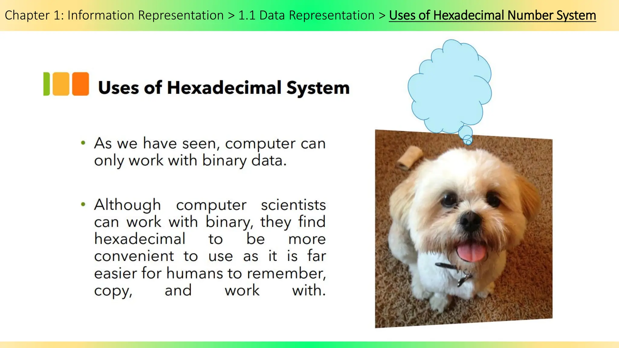 Chapter 1: Information Representation > 1.1 Data Representation > Uses of Hexadecimal Number System
 