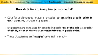 Chapter 1 - Information Representation.pdf