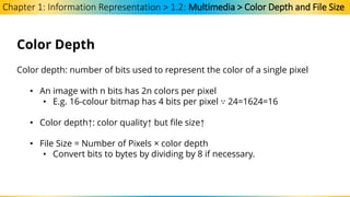 Chapter 1 - Information Representation.pdf