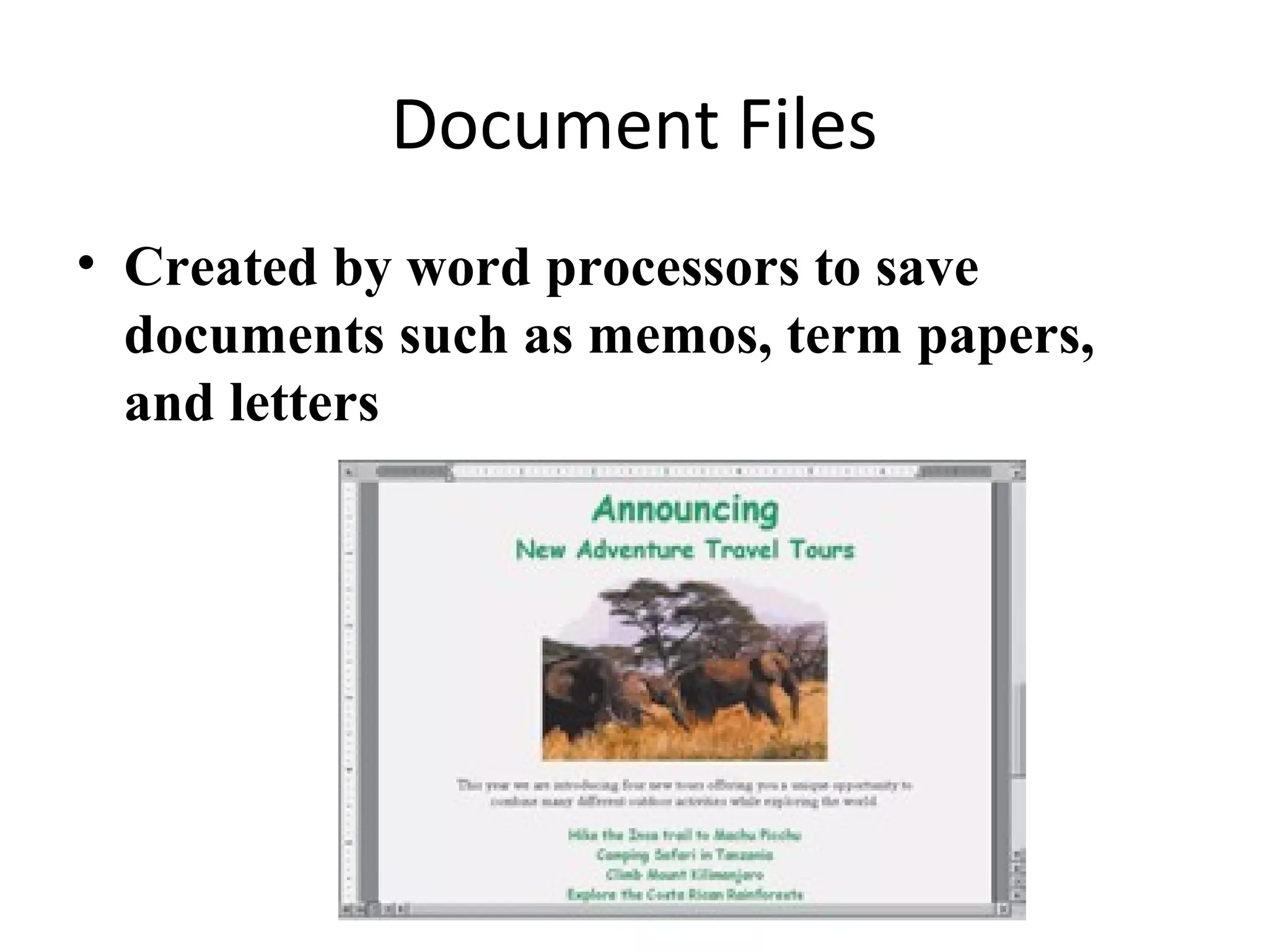 Document Files
• Created by word processors to save
documents such as memos, term papers,
and letters
 
