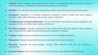 1. Capsule: Outer covering, that protects the cell when it is engulfed by other organisms, assists in
retaining moisture, and helps the cell adhere to surfaces and nutrients.
2. Cell Wall: The cell wall is an outer covering that protects the bacterial cell and gives its shape.
3. Cytoplasm: Cytoplasm is a gel-like substance composed mainly of water that also contains
enzymes, salts, cell components, and various organic molecules.
4. Cell Membrane or Plasma Membrane: The cell membrane surrounds the cell's cytoplasm and
regulates the flow of substances in and out of the cell.
5. Pili (Pilus singular): Hair-like structures on the surface of the cell that attach to other bacterial
cells. Shorter pili are called fimbriae to help bacteria attach to surfaces.
6. Flagella: Flagella are long, whip-like protrusions that aid in cellular locomotion.
7. Ribosomes: Ribosomes are cell structures responsible for protein production.
8. Plasmids: Plasmids are gene-carrying, circular DNA structures that are not involved in
reproduction.
9. Nucleoid Region: Area of the cytoplasm that contains the single bacterial DNA molecule.
 