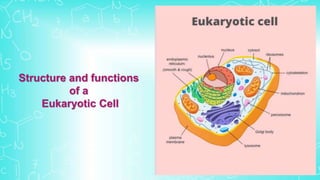 Structure and functions
of a
Eukaryotic Cell
 