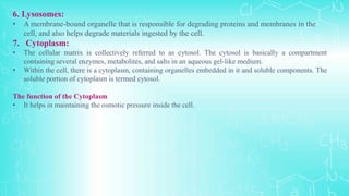 6. Lysosomes:
• A membrane-bound organelle that is responsible for degrading proteins and membranes in the
cell, and also helps degrade materials ingested by the cell.
7. Cytoplasm:
• The cellular matrix is collectively referred to as cytosol. The cytosol is basically a compartment
containing several enzymes, metabolites, and salts in an aqueous gel-like medium.
• Within the cell, there is a cytoplasm, containing organelles embedded in it and soluble components. The
soluble portion of cytoplasm is termed cytosol.
The function of the Cytoplasm
• It helps in maintaining the osmotic pressure inside the cell.
 
