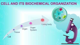 CELL AND ITS BIOCHEMICAL ORGANIZATION
Cell
Tissue
Organ
Organ
System
Living body
 